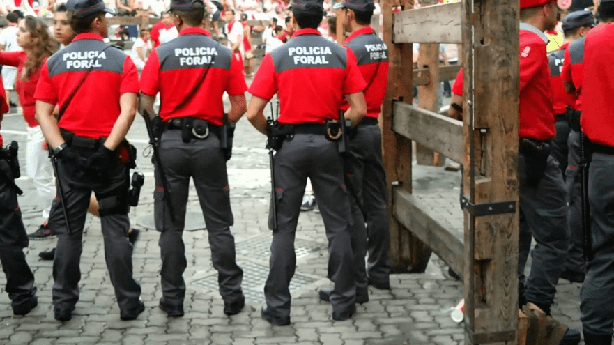 Policía Foral