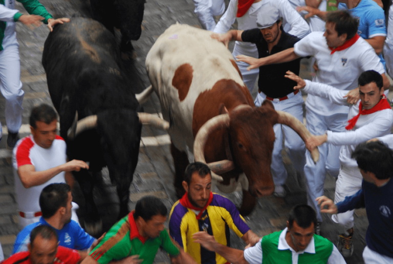 11 Tips How to run with the bulls in Pamplona 2024 Pamplona Fiesta