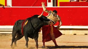 Bullfighting