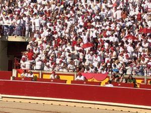 Peñas at the bullring